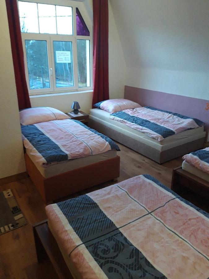 Ferienwohnung Erz-Hostel Thermalbad Wiesenbad Екстериор снимка