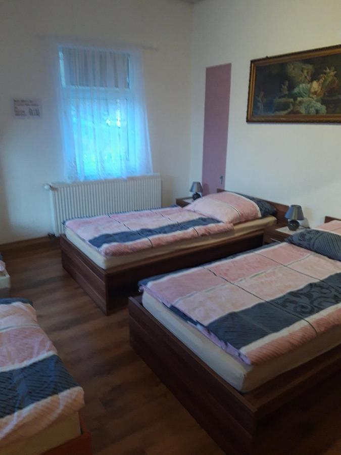 Ferienwohnung Erz-Hostel Thermalbad Wiesenbad Екстериор снимка